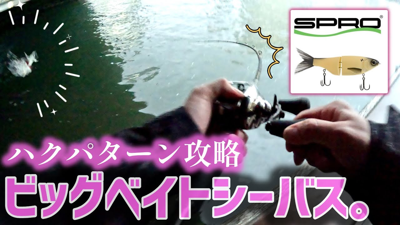 ハクの群にビッグベイトを投げると… - YouTube ハクの群にビッグベイトを投げると… - YouTube