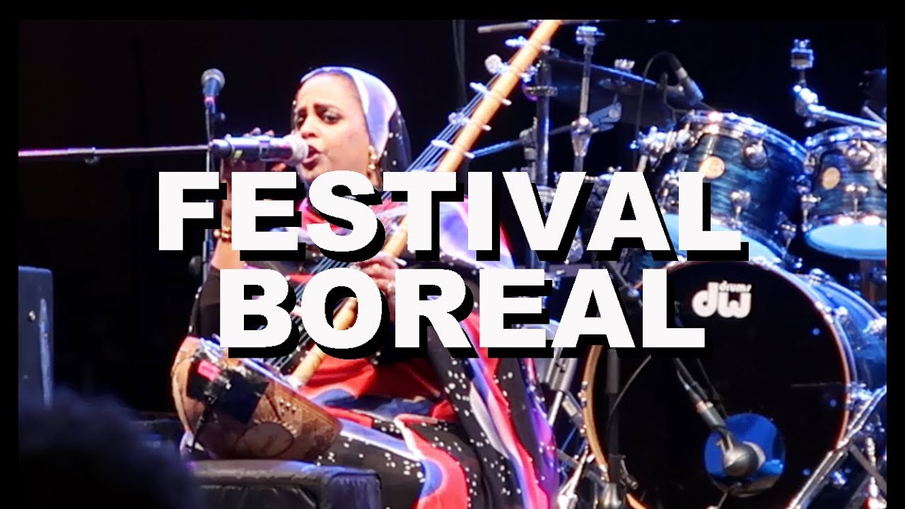 QUÉ HACER EN TENERIFE NORTE Festival Boreal 2017 en Los Silos – ¡Qué Gran Viaje! — Lee de Caires defensa y justicia