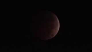 Oct  8, 2014 lunar eclipse compilation