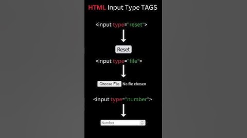 HTML Input Type Tags #html #coding #webdevelopment #webdesign