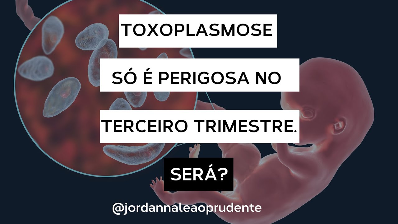 TOXOPLASMOSE antes do terceiro trimestre de gestação - YouTube
