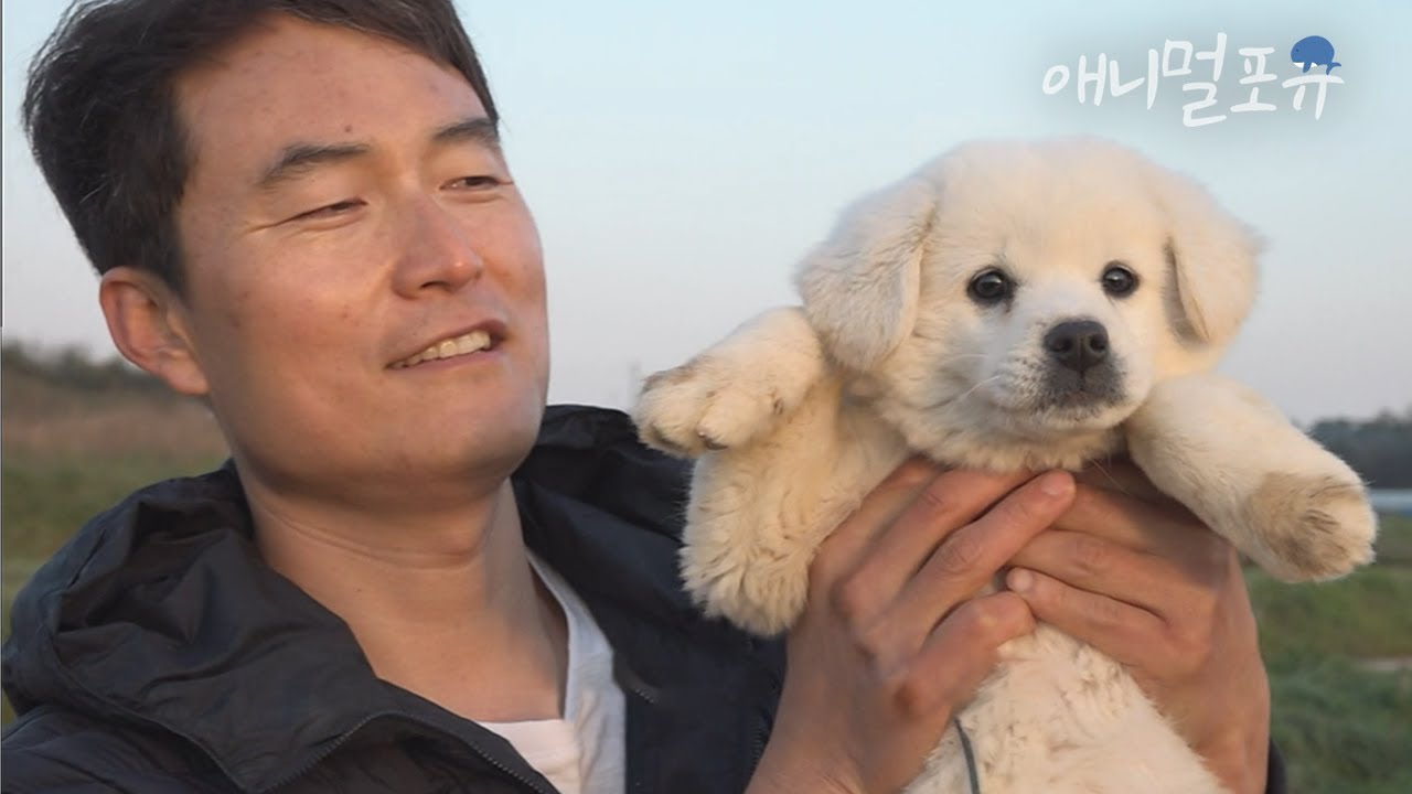 시골살이 동기는 댕댕이! 복실이와 함께 하는 맹서방의 처가살이🐶🌿 | 맹서방의 처가살이 | KBS 인간극장 2017 방송