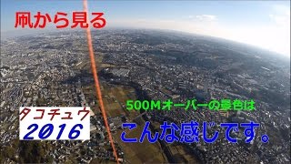 横浜市青葉区にて500Ｍ凧揚げにトライ【凧あげ】