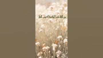 سورة المجادلة آيه 17 #رحمة_للعالمين #مصر #قرآن