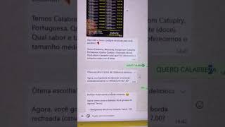 Inteligência Artificial no WhatsApp - Por Onde Comçar?
