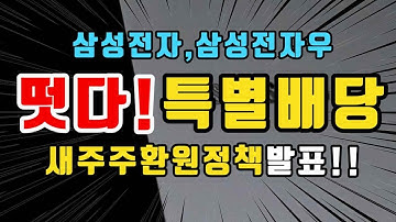 삼성전자 삼성전자우 떳다! 특별배당 배당금 대박! 새주주환원정책