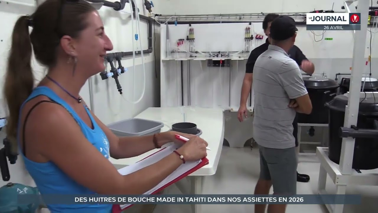 Des huitres de bouche made in Tahiti bientôt dans vos assiettes