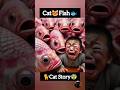 Cat😻Fish🐟 Cat Emotion Story! #shorts #trending #youtubeshorts #cat #animals