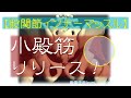 vol.84 【股関節安定】重要度は中殿筋級‼ 簡単な小殿筋リリース法‼