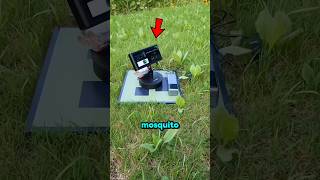 Mosquito Defense Laser 😱