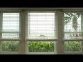 RELAXING RAIN WINDOW VIEW - Sleep, Study, Relax - Pure ambience