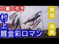 鯉のぼりをあげた。【村上 】金彩ロマン 【東旭】 積美画鯉のぼり。
