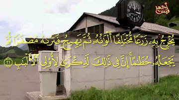 مقام ( الكرد_العجم_الرست) سورة الزمر _ أحمد قيس