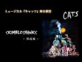 ミュージカル『キャッツ』舞台模型［2］