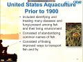 Aquaculture Through the Ages: From Ancient Practices to Modern Innovations