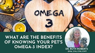What are the Benefits of Knowing Your Pet's Omega-3 Index? | Dr. Ruth Roberts