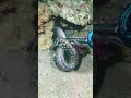#catchthesea #fishing #rivercrab #beach #deepsea #nature #diving #fish #eel #crab