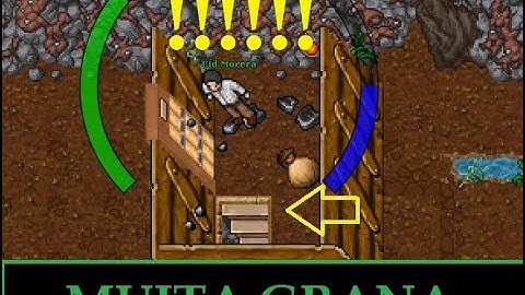 Como Chegar na Melhor Hunt Free Account - Muito Lucro - Tibia Dicas e Tutoriais - Hunt Free