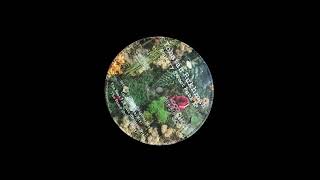 Yonatan Rukhman - The Beat The Bass