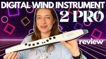 Review: Digital Wind Instrument Pro 2 | why this is 90s GOLD