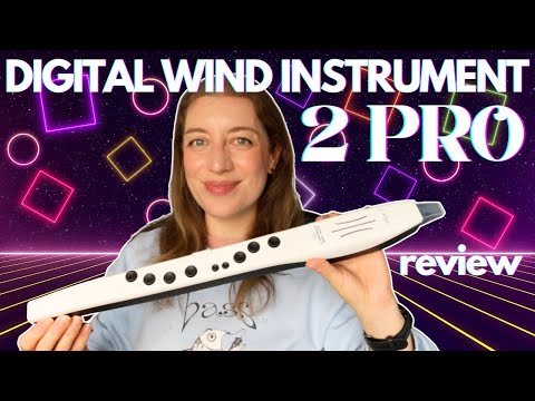 フルート　Enhong NUVO ヌーボ / N230SFBK プラスチック製 フルート Student Flute