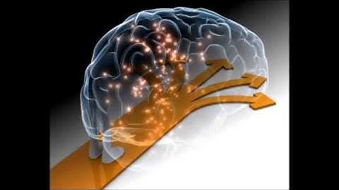 The importance of learning a second language