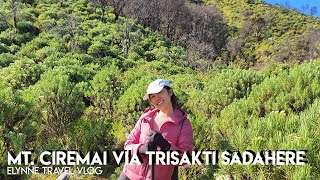 Gunung Ciremai via Trisakti Sadahere 🇲🇨| Mei 2023 | Ladang Edelweisnya cakep banget | Elynne's VLOG