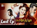 Mera Yaar Miladay Last Episode 22 | Faysal Qureshi | Sajjal Ali | ARY Digital Drama