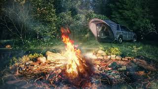 Car Camping. Forest ambience. 🏕️ Sound of a Campfire. Resting in a tent by the fire. 🔥 Wildlife ✔️4K by Auravizor 204 views 1 year ago 10 hours