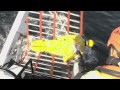 Ramform Titan - Lifeboat and FRC