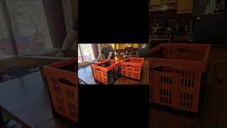Do These Stackable Crates Actually Work? VEVOR Plastic Collapsible Storage Basket, 45L 3 Packs .,.