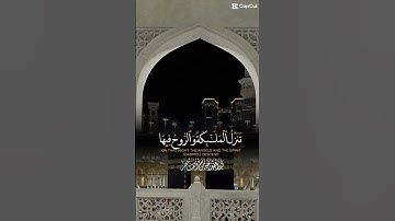سورة القدر #لايك #quran #arbil #duhok #حالات_واتس #zaxo #دويتو #germany