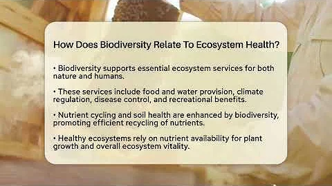 How Does Biodiversity Relate To Ecosystem Health? - Ecosystem Essentials