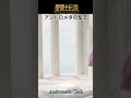 アンドロメダ｜聖衣｜全身構図【聖闘士聖矢】