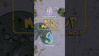 Who Wins? Stentor vs Holophrya 🔬 | Micro Match-up Round 3