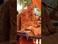 कागजों में गाय देवलोक से भी ज्यादा सुखी : शंकराचार्य