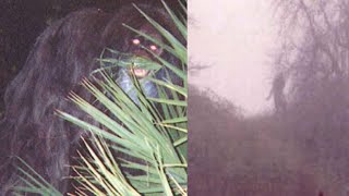 The Scariest Bigfoot Evidence