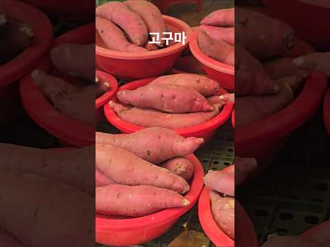 아직도 고구마 🍠  가 나오네요 1바구니 5천원 #충주5일장