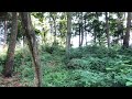 回想 ~心のふるさとへ続く道~  宗次郎作曲 pochee オカリナ演奏