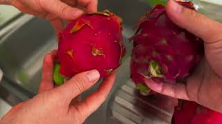 Dragon Fruit Red vs White how to Pick