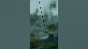Thumbnail of VN editing #nature #trendingshorts #shorts #youtubeshorts #cinematography #rain #shortvideo