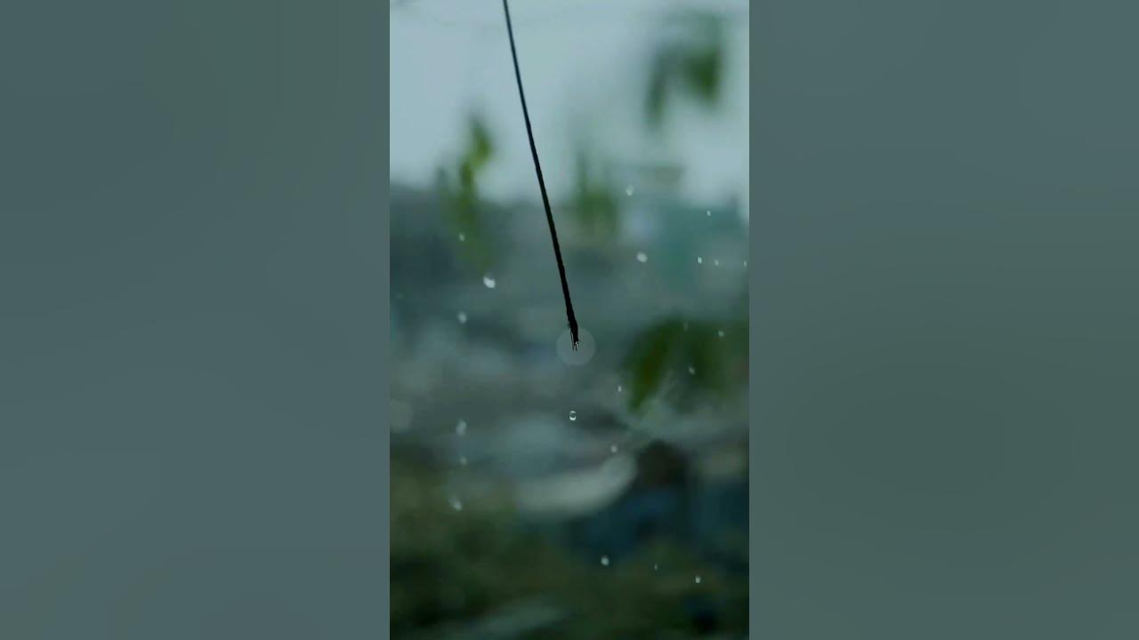 VN editing #nature #trendingshorts #shorts #youtubeshorts #cinematography #rain #shortvideo