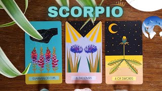 Scorpio you May Think Theyve Lost Interestheres The Truth About How They Really Feel