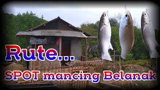 Rute SPOT Mancing ikan BELANAK TANGERANG ‼️Muara Mauk