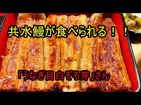 うなぎ屋さん探訪642～共水鰻が食べられる「うなぎ目白ぞろ芽」さん