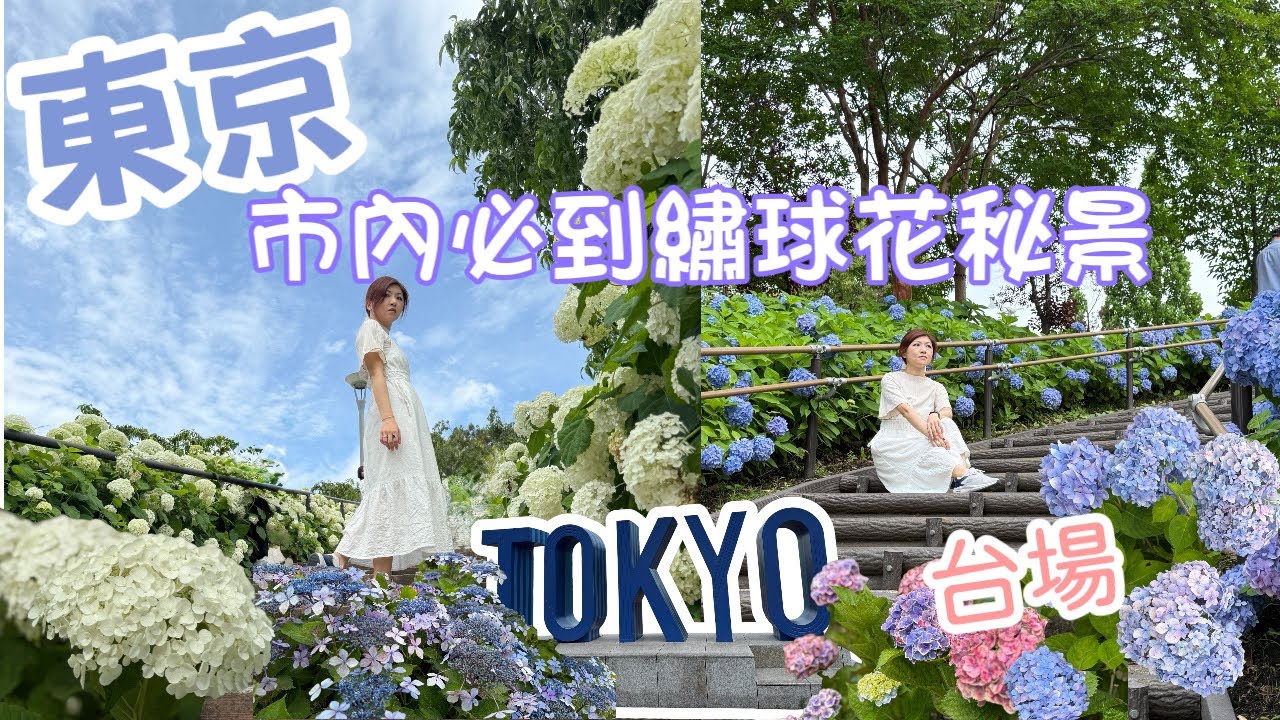 【東京】台場/青海東京市內必到極美繡球花（紫陽花）秘景之一