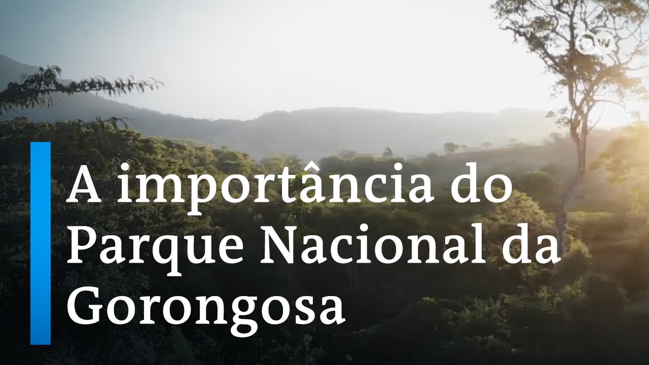 Moçambique: Como a Gorongosa mitigou os efeitos do ciclone Idai