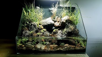 How make paludarium aquaterrarium waterfall natural - Bể bán cạn bên bờ suối