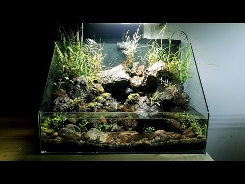 Video How make paludarium aquaterrarium waterfall natural -... - youtube