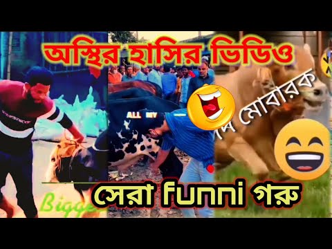 ভিডিওটা দেখে হাসতে বাধ্য হবেন 🤣🤣।bangla funny video। mr bd facts।fact Funny 💥....